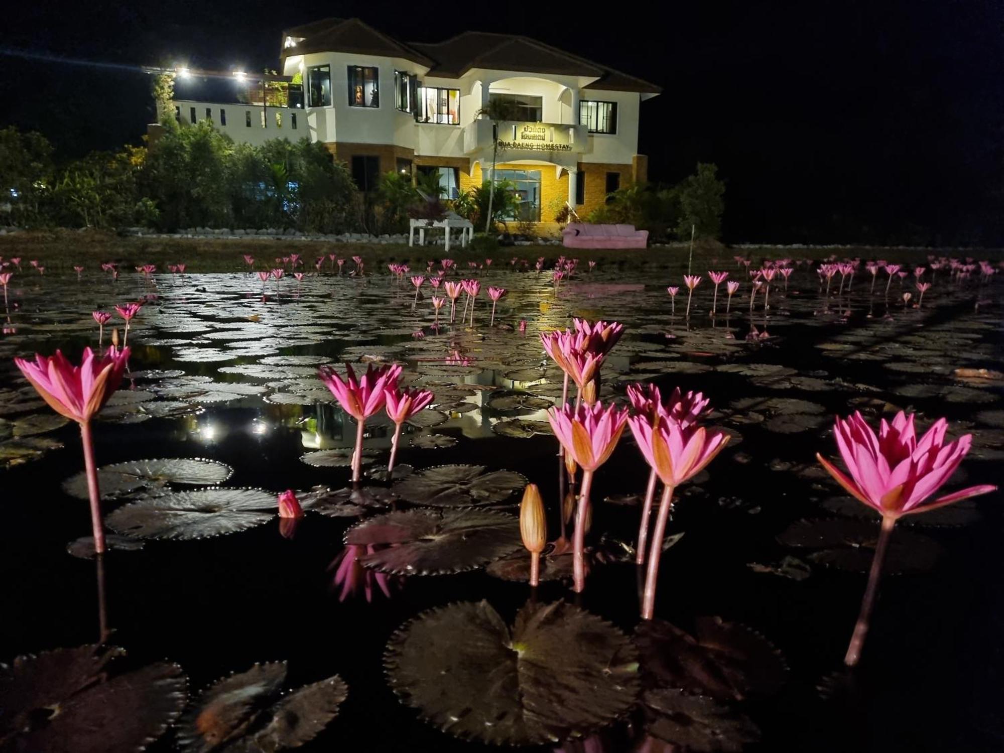 Bua Daeng Homestay Resort Kumphawapi Exterior photo