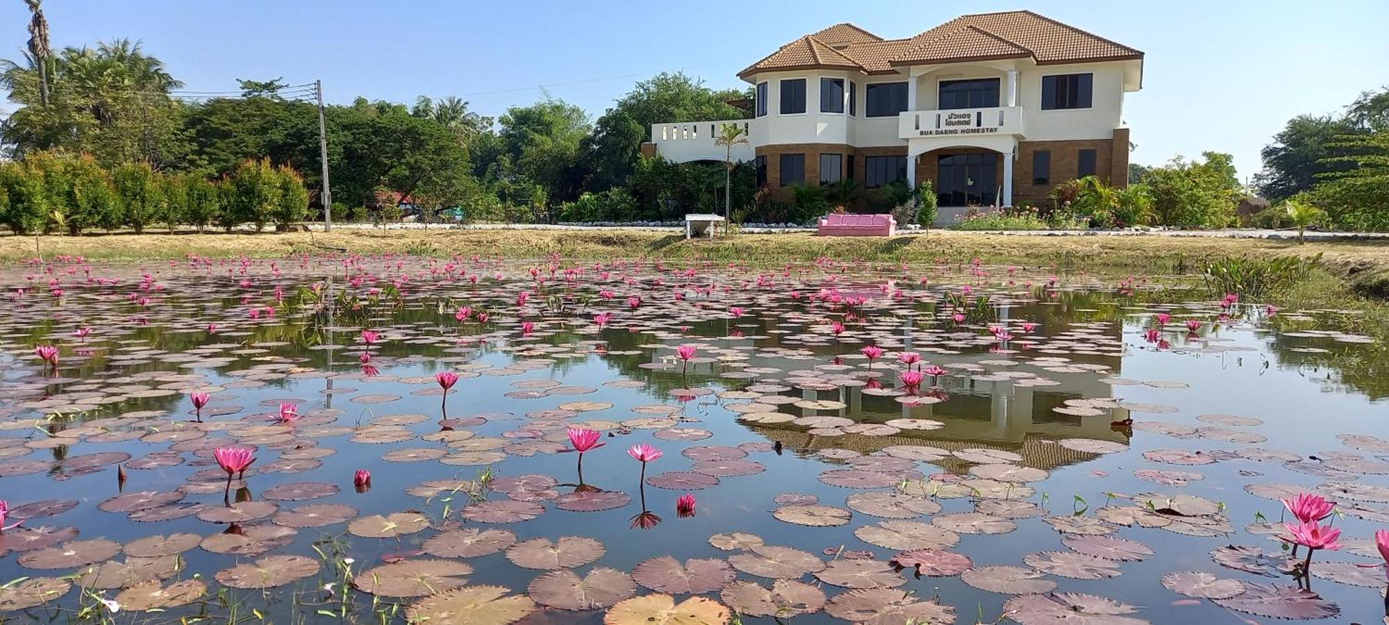Bua Daeng Homestay Resort Kumphawapi Exterior photo